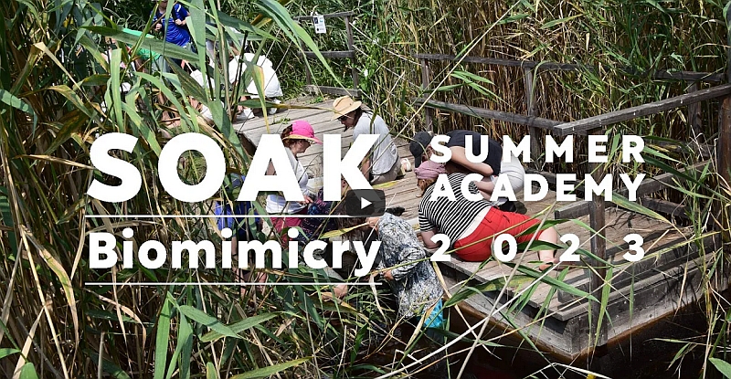 SOAK Sommer Akademie 2023